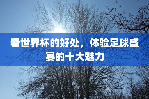 看世界杯的好处，体验足球盛宴的十大魅力眉山市正发家政服务有限公司