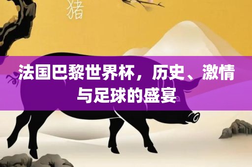 法国巴黎世界杯，历史、激情与足球的盛宴