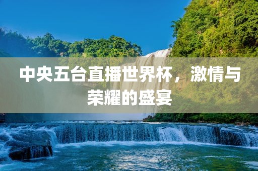 中央五眉山市正发家政服务有限公司台直播世界杯，激情与荣耀的盛宴