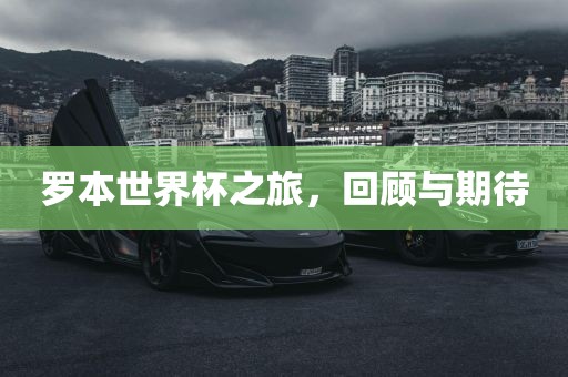 罗本世界杯之旅，回顾与眉山市正发家政服务有限公司期待