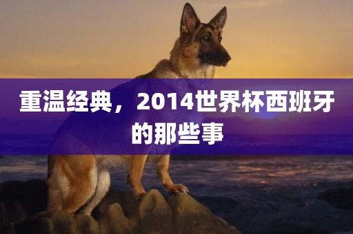 重温经典，2014世界杯西班牙的那些事眉山市正发家政服务有限公司