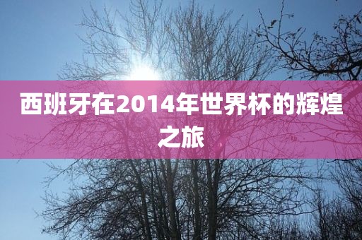 西班牙在2014年世界杯的辉煌之旅眉山市正发家政服务有限公司