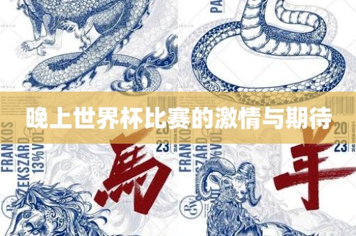 晚上世界杯比赛的激情与期待眉山市正发家政服务有限公司