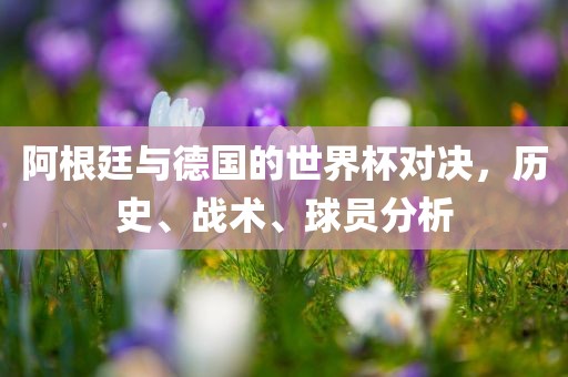 阿根廷与德国的世界杯对决，历史、战术、球员分析眉山市正发家政服务有限公司