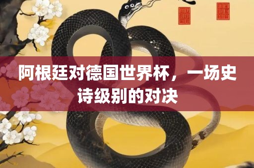 阿根廷对德国世界杯，一场史诗级别的对决眉山市正发家政服务有限公司
