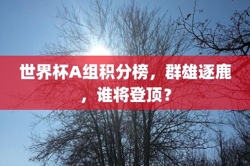 世界杯A组积分榜，群雄逐鹿，谁将登顶？眉山市正发家政服务有限公司