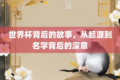 世界杯背后的故事，从起源到名字背后的深意眉山市正发家政服务有限公司