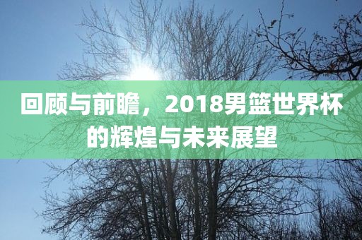 回顾与前瞻，2018男篮世界杯的辉煌与未来展望眉山市正发家政服务有限公司