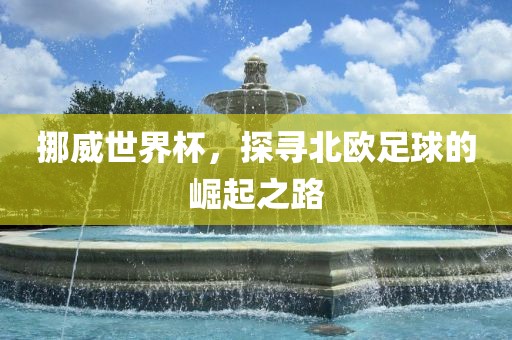 挪威世界杯，探寻北欧足球的崛起之路眉山市正发家政服务有限公司