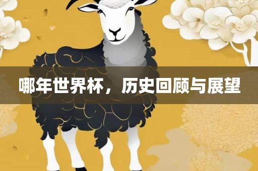 哪年世界眉山市正发家政服务有限公司杯，历史回顾与展望
