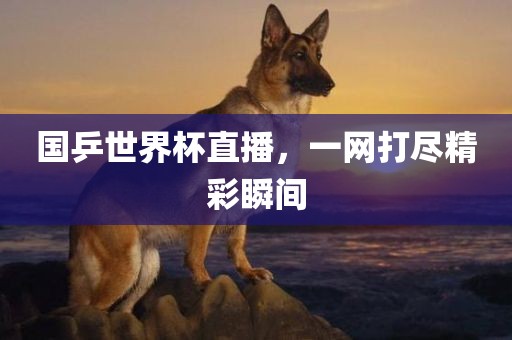国乒世界杯直播，一网打尽精彩瞬间眉山市正发家政服务有限公司