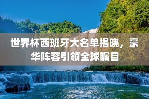 世界杯西班牙大名单揭晓，豪华阵容引领全球瞩目眉山市正发家政服务有限公司