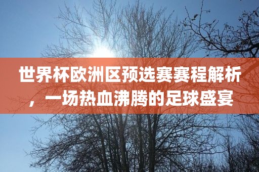 世界杯欧洲区预选赛赛程解析，一场热血沸腾的足球盛宴