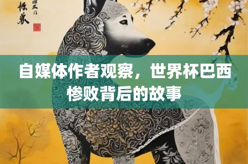 自媒体作者观察，世界杯巴西惨败背后的故事眉山市正发家政服务有限公司