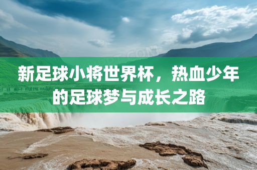 新足球小将世界杯，热血少年的足球梦与成长之路眉山市正发家政服务有限公司