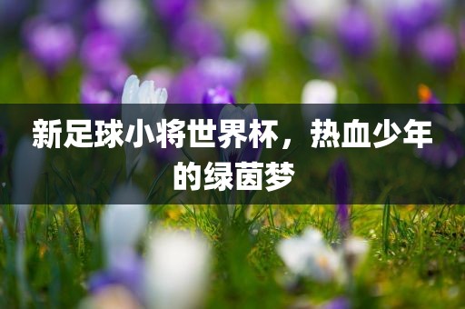 新足球小将世界杯，热血少年的绿茵梦眉山市正发家政服务有限公司
