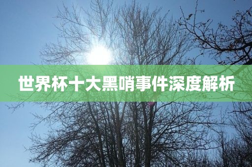 世界杯十大黑哨事件深度解析眉山市正发家政服务有限公司