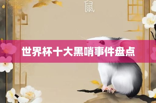 世界杯十大黑哨事件盘点眉山市正发家政服务有限公司