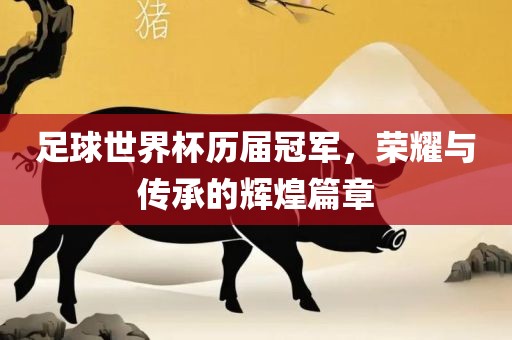 足球世界杯历届冠军，荣耀与传承的辉煌篇章眉山市正发家政服务有限公司