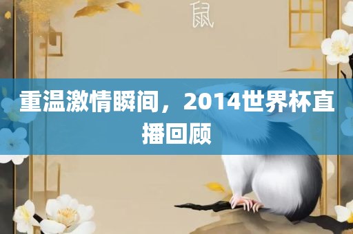 重温激情瞬间，2014世界杯直播回顾