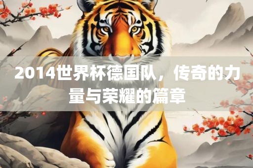 2014世界杯德国队，传奇的力量与荣耀的篇章