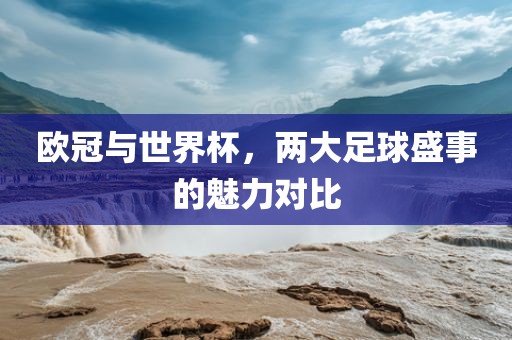 欧冠与世界杯，两大足球盛事的魅力对比眉山市正发家政服务有限公司