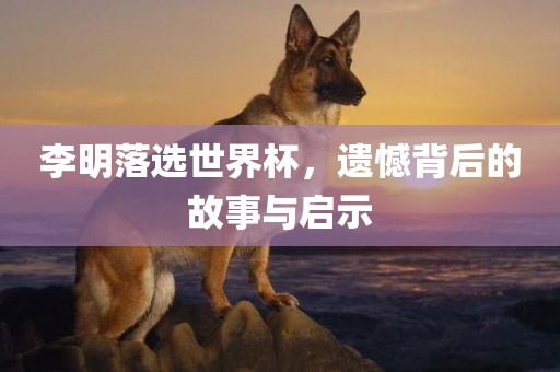 李明落选世界杯，遗憾背后的故事与启示眉山市正发家政服务有限公司