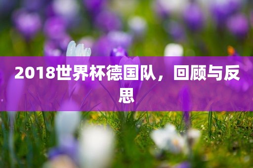 2018世界杯德国队，回顾与反思