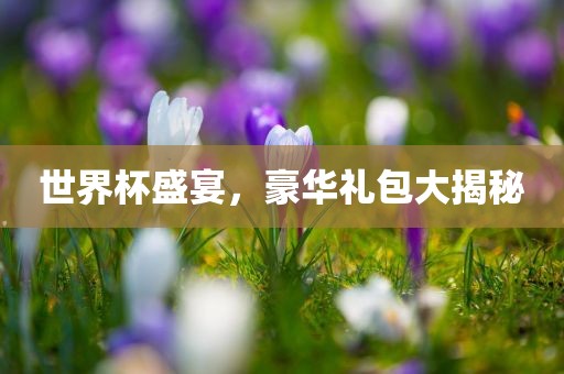 世界杯盛宴，豪华礼包大揭秘眉山市正发家政服务有限公司