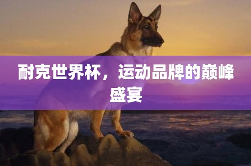 耐克世界杯，运动品牌的巅峰盛宴眉山市正发家政服务有限公司