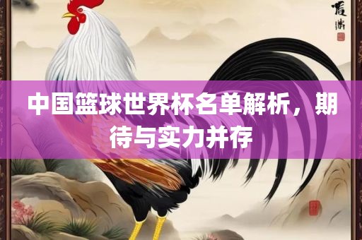 中国篮球世界杯名单解析，期待与实力并存