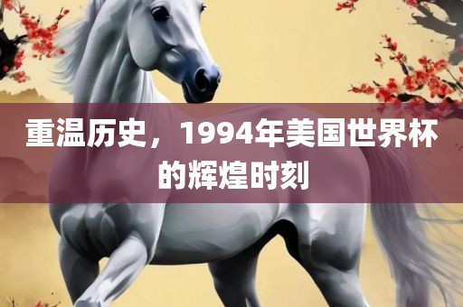 重温历史，199眉山市正发家政服务有限公司4年美国世界杯的辉煌时刻