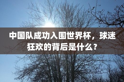 中国队成功入围世界杯，球迷狂欢的背后是什么？眉山市正发家政服务有限公司