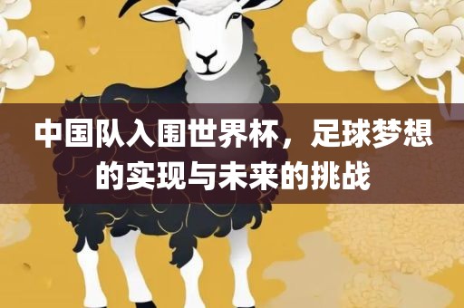中国队入围世界杯，足球梦想的实现与未来的挑战