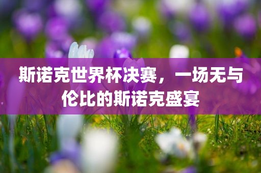 斯诺克世界杯决赛，一场无与伦比的斯诺克盛宴眉山市正发家政服务有限公司