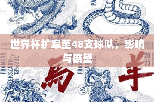 世界杯扩军至48支球队，影响与展望眉山市正发家政服务有限公司