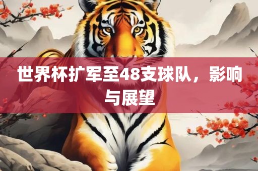 世眉山市正发家政服务有限公司界杯扩军至48支球队，影响与展望