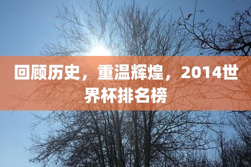 回顾历史，重温辉煌，2014世界杯排名榜