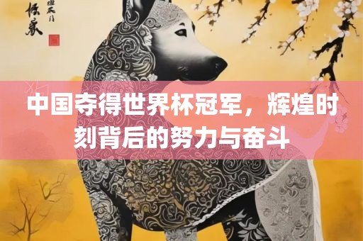 中国夺得世界杯冠军，辉煌时刻背后的努力与奋斗眉山市正发家政服务有限公司