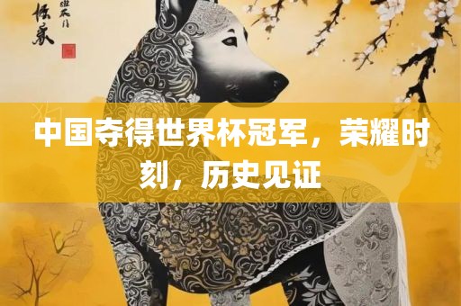中国夺得世界杯冠军，荣耀时刻，历史见证眉山市正发家政服务有限公司