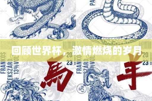 回顾世界杯，激情燃烧的岁月眉山市正发家政服务有限公司