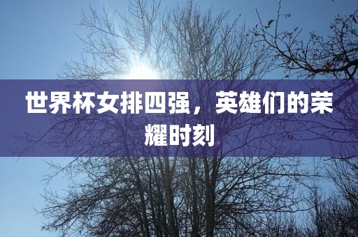 世界杯女排四强，英雄们的荣耀时刻眉山市正发家政服务有限公司