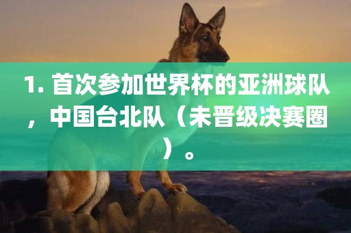 1. 首次参加世界杯的亚洲球队，中国台北队（未晋级决赛圈）。眉山市正发家政服务有限公司