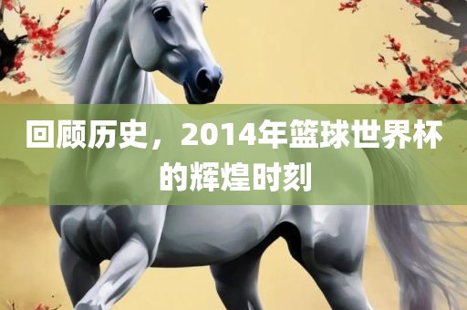 回顾历史，2014年篮球世界杯的辉眉山市正发家政服务有限公司煌时刻
