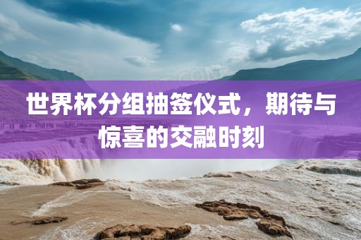 世界杯分组抽签仪式，期待与惊喜的交融时刻眉山市正发家政服务有限公司