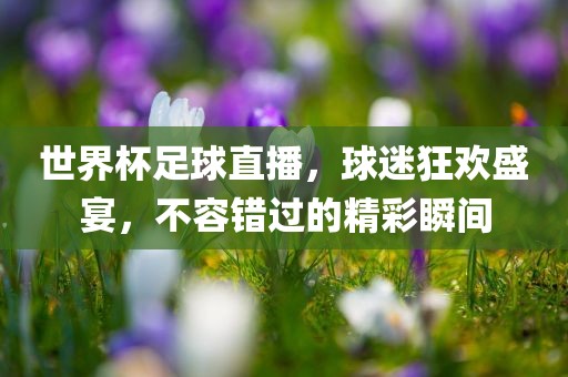 世界杯足球直播，球迷狂欢盛宴，不容错过的精彩瞬间