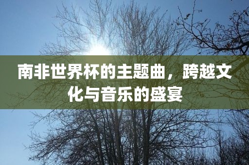 南非世界杯的主题曲，跨越文化与音乐的盛宴