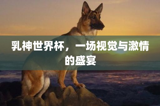 乳神世界杯，一场视觉与激情的眉山市正发家政服务有限公司盛宴