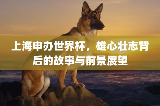 zhangyanan 第8页