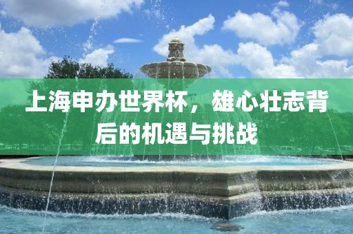 上海申办世界杯，雄心壮志背后的机遇与挑战眉山市正发家政服务有限公司